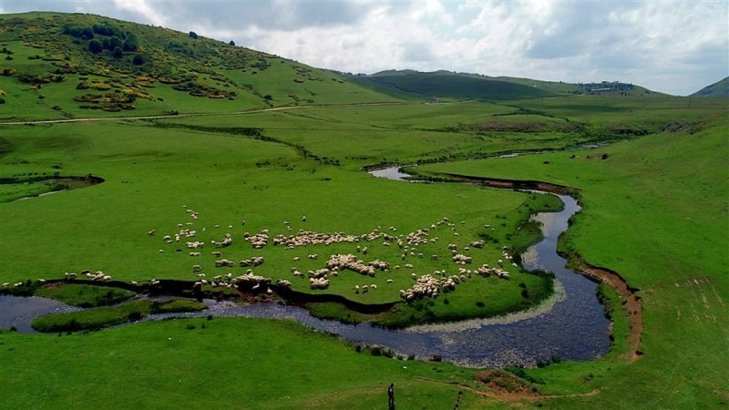 Ordu'nun doğa harikası: Perşembe Yaylası