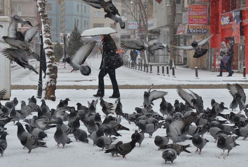 Ankara güne karla uyandı