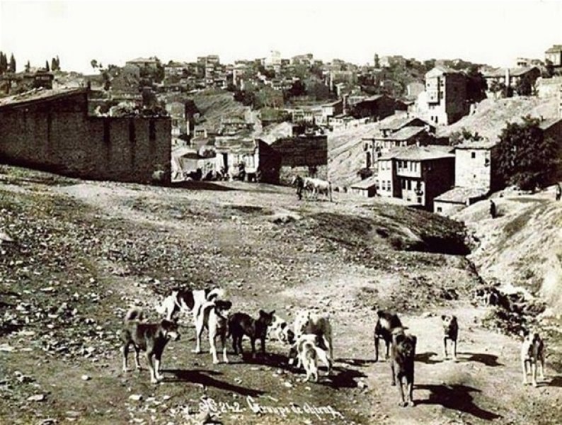 Fotoğraflarla eski İstanbul