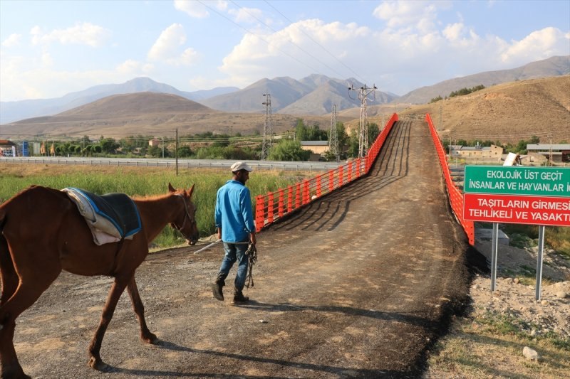 Erzincan'da Ekolojik Üst Geçit, güvenli geçiş rotası oldu