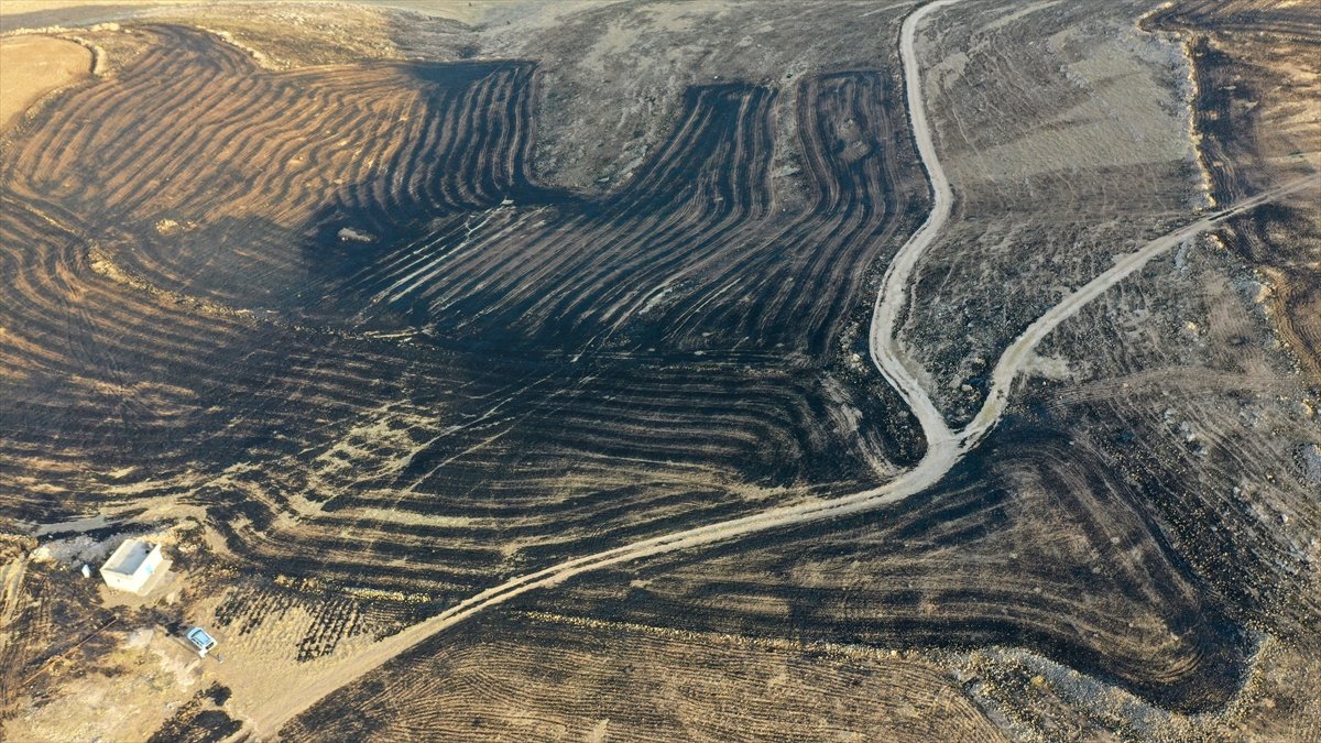 Diyarbakır ve Mardin arasındaki anız yangınında facianın boyutu görüntülendi