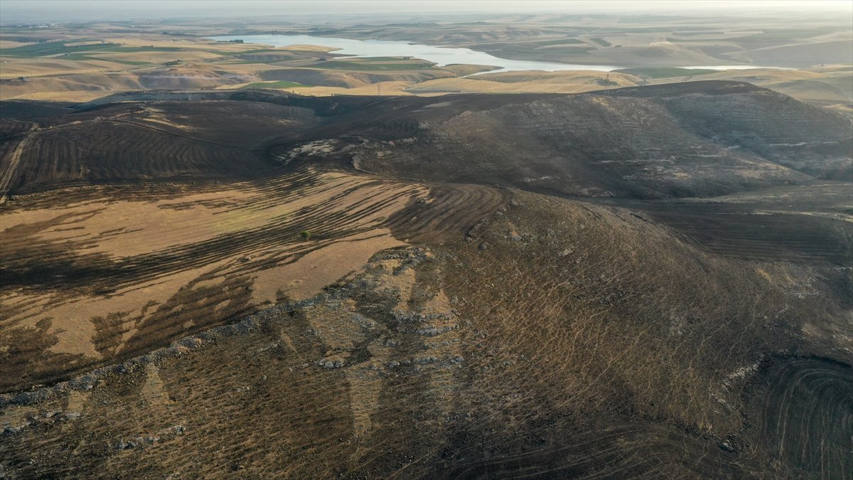 Diyarbakır ve Mardin arasındaki anız yangınında facianın boyutu görüntülendi