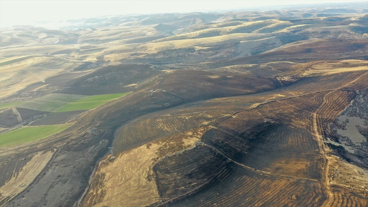 Diyarbakır ve Mardin arasındaki anız yangınında facianın boyutu görüntülendi