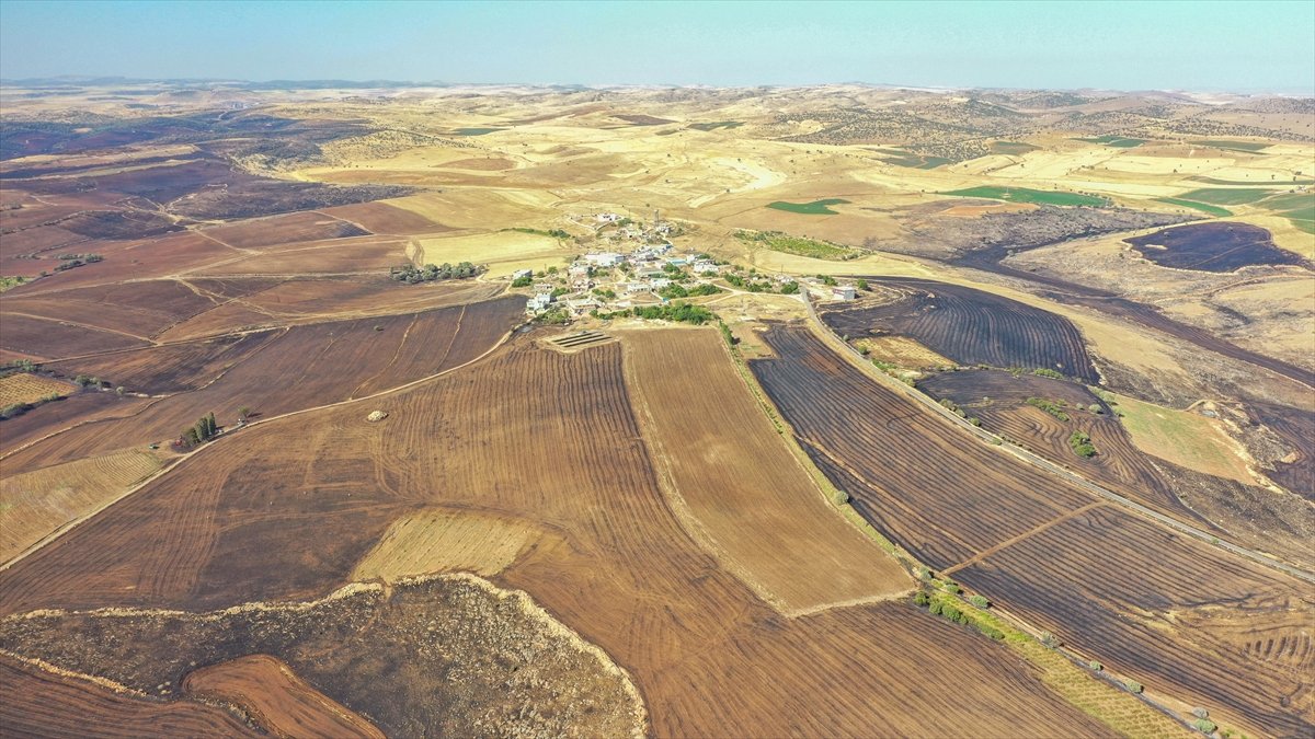 Diyarbakır ve Mardin arasındaki anız yangınında facianın boyutu görüntülendi