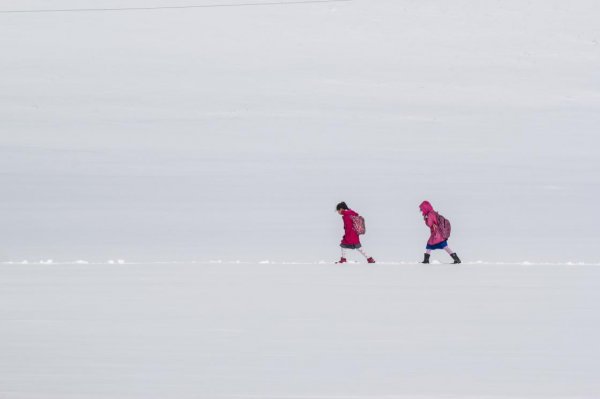 AA'nın Yılın Fotoğrafları oylaması sonuçlandı