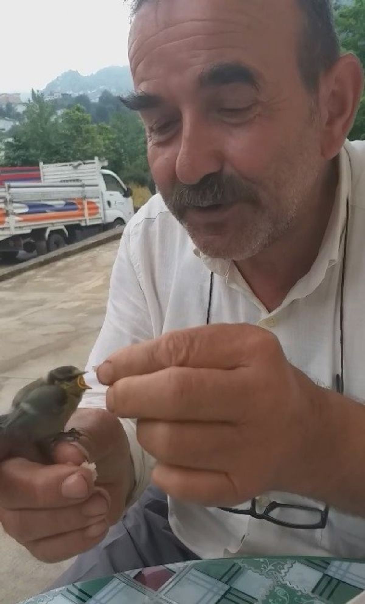 Rizelinin kuş sevgisi kamerada