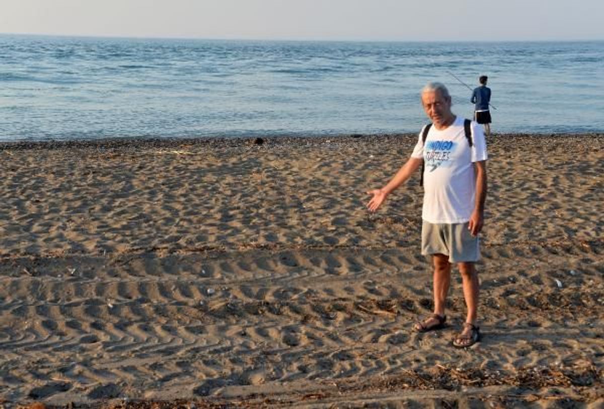 50 yuva olan caretta caretta kumsalı tarla gibi sürüldü