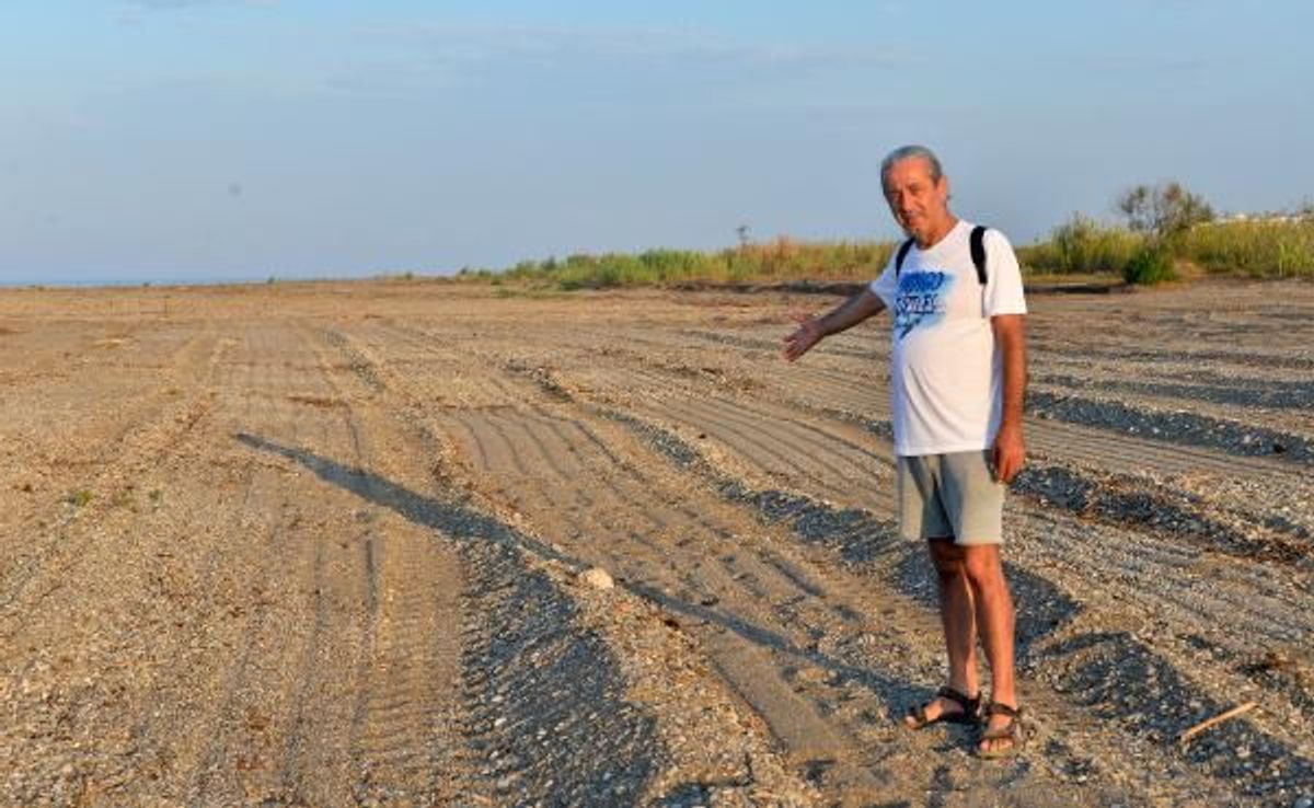 50 yuva olan caretta caretta kumsalı tarla gibi sürüldü
