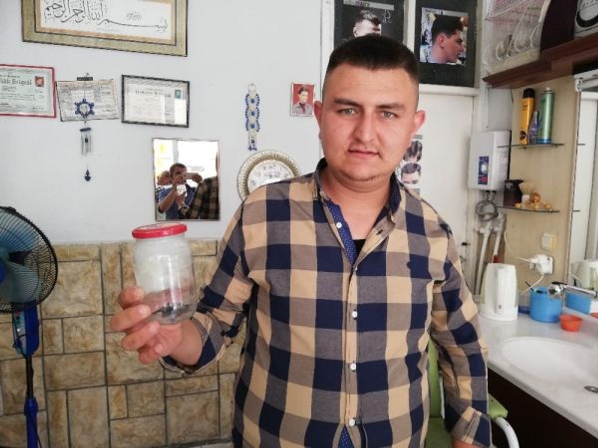 Karaman'da bulunan yarasa korkuttu
