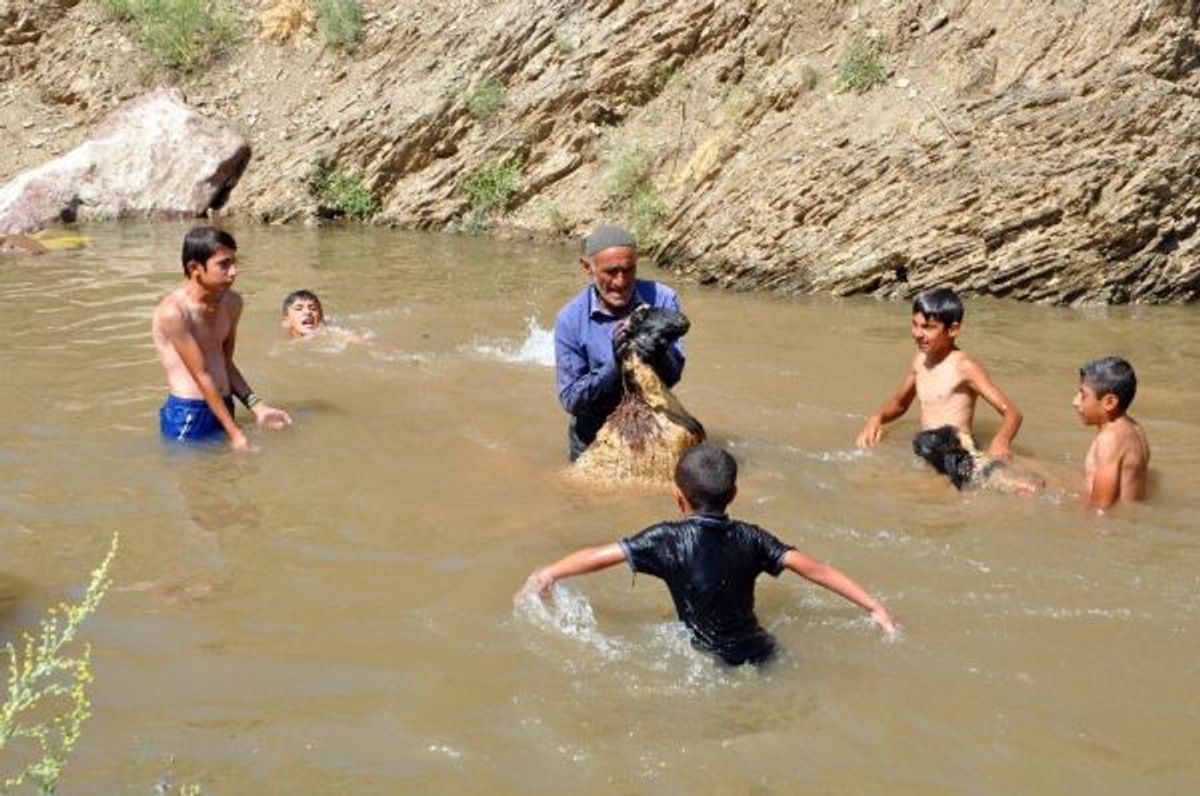 Hakkari'de koyunların yıkandığı gölette yüzme keyfi