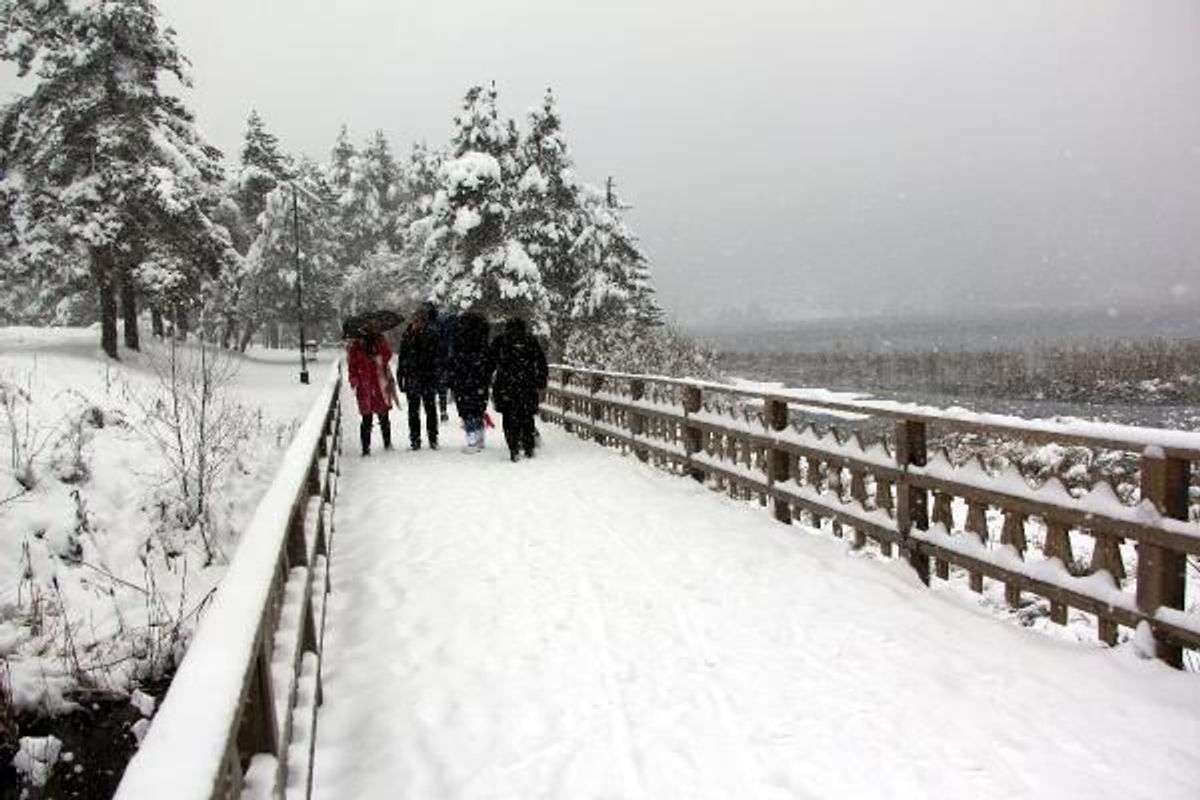 Abant'ta kar 50 santimetreye ulaştı