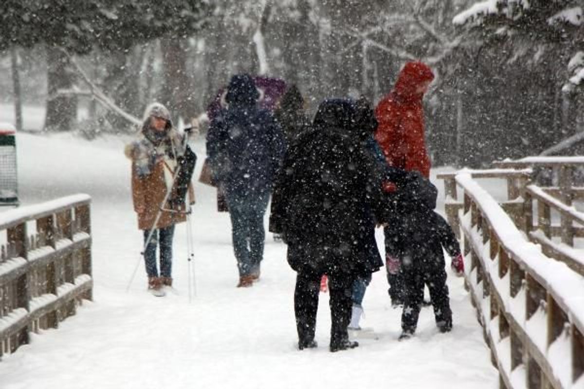 Abant'ta kar 50 santimetreye ulaştı