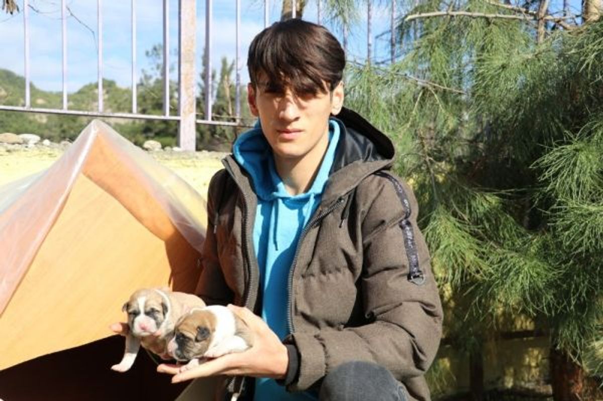 Harçlığını yavru köpeklere harcayan genç, yardım istiyor