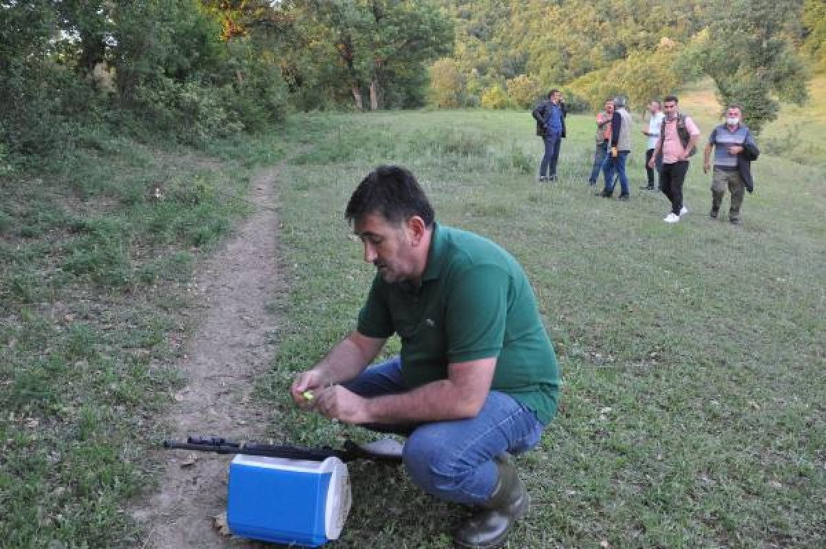 Bartın'da domuz teline takılan boz ayı kurtarıldı