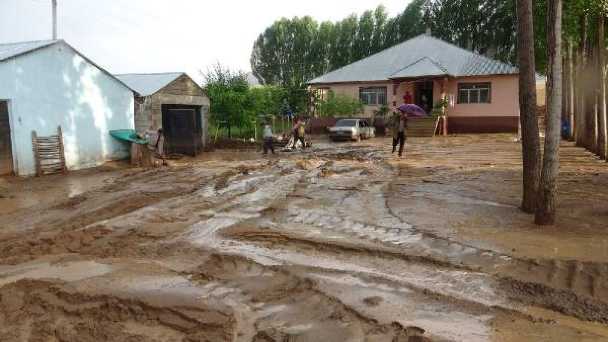Van'da 74 koyun selde telef oldu