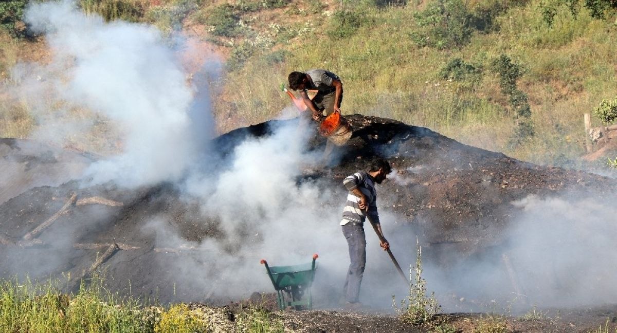 Erzincan'da işçilerin zorlu mangal kömürü yapımı