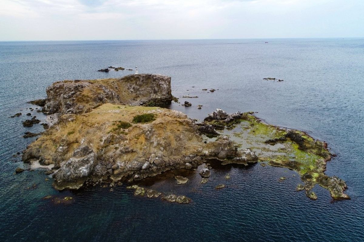 İstanbul'daki ıssız ada havadan görüntülendi