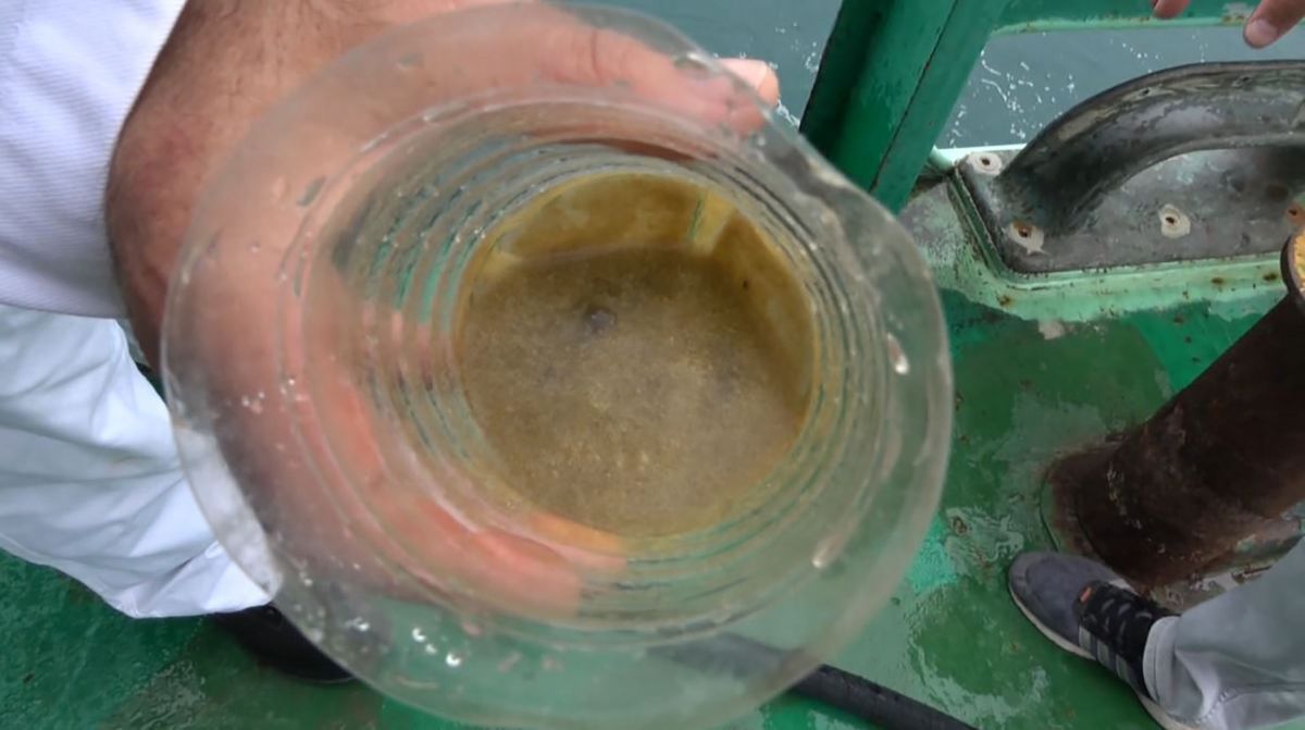 Karadeniz'de deniz çöpü ve mikroplastik tehlikesine karşı ortak çalışma
