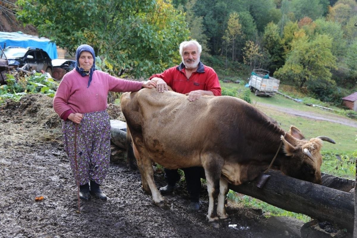 Artvin'de 'Devlet' sayesinde çiftlik sahibi oldular