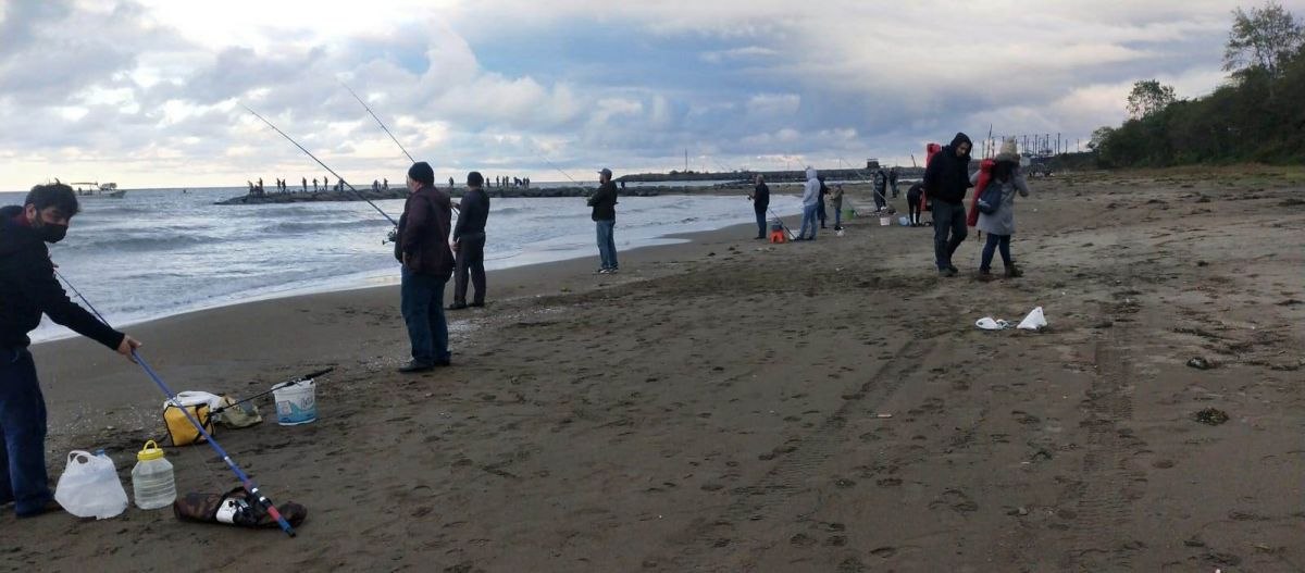 Ordu'da yırtılan kafesten 2 ton balık denize döküldü: Oltasını alan sahile koştu