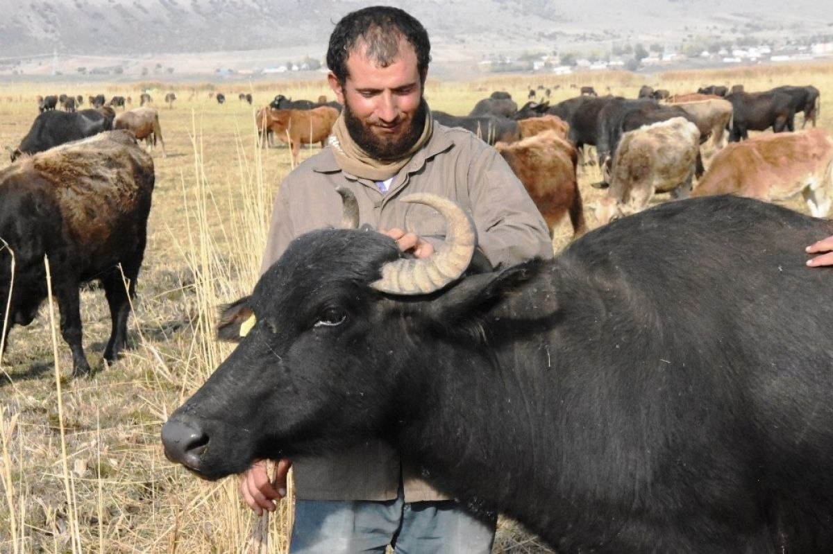 Bitlis'te sağır ve dilsiz kardeşler 20 yıldır çobanlık yapıyor