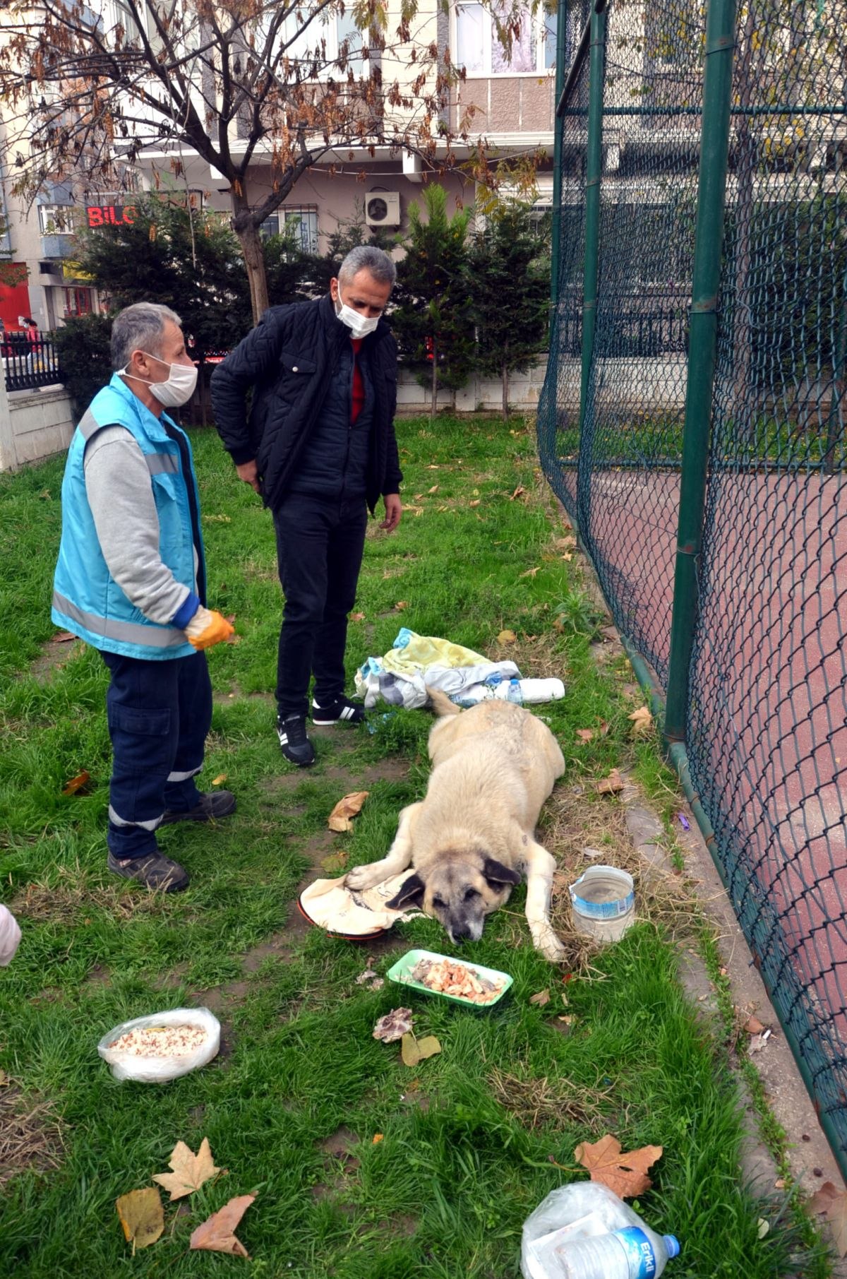 Avcılar’da hasta sokak köpeği için mahalleli seferber oldu