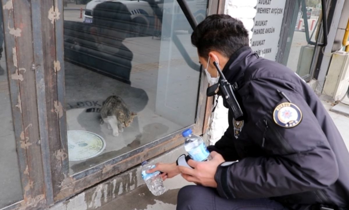 Burdur'da aç ve susuz kediyi polis besledi