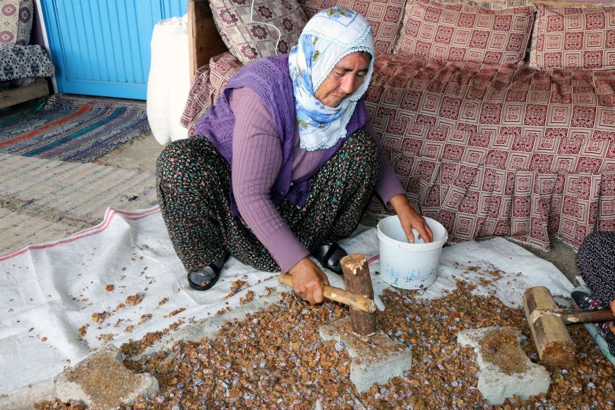 Adanalı anne, andız pekmeziyle 2 çocuk okuttu
