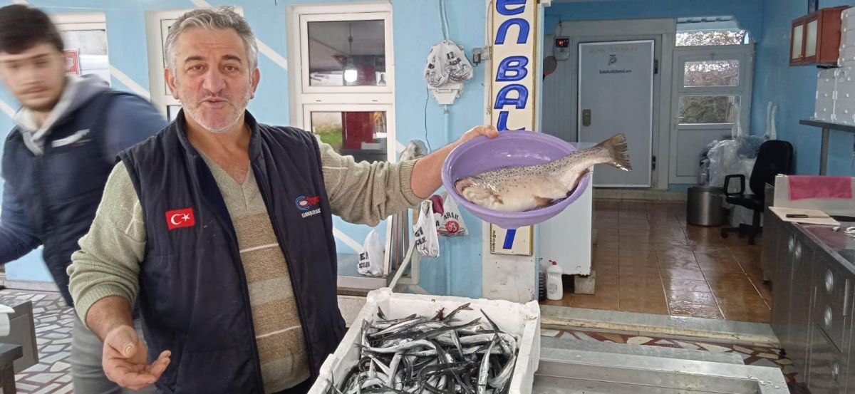 Rize'de korona ilacı diyerek çiğ hamsi yedi
