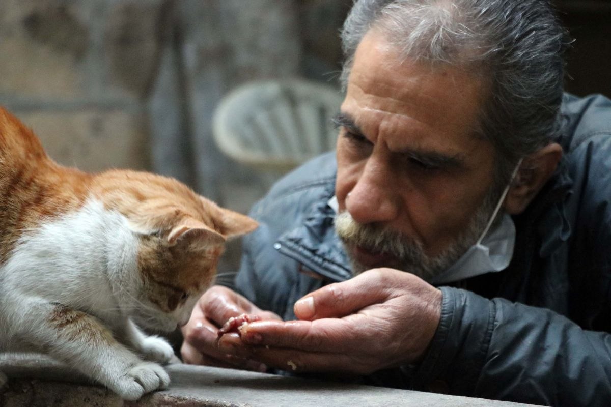 Gaziantep'teki evinde, 200 kediye bakıyor