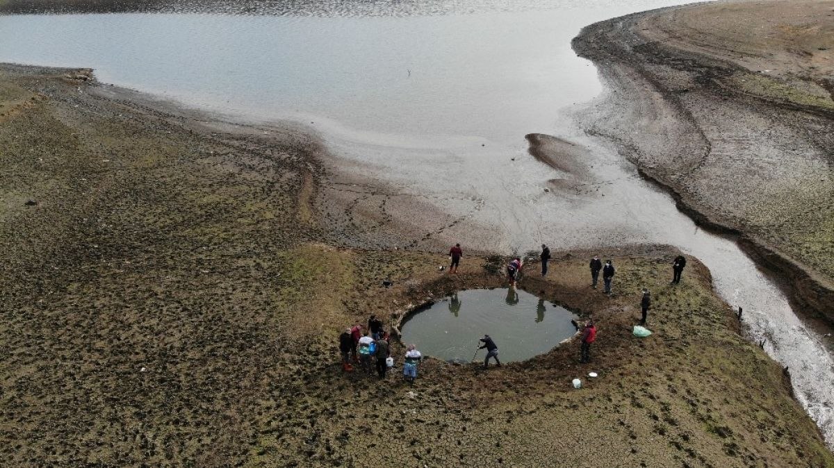 Ömerli Barajı’nda balık kurtarma operasyonu