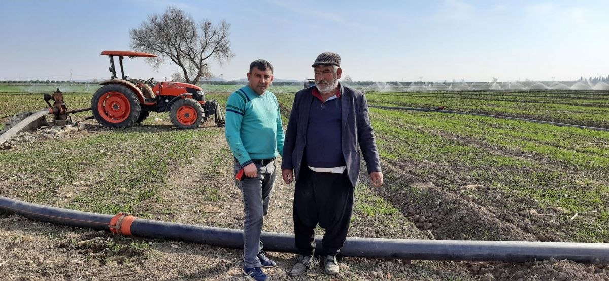 Adana'da buğdayda kuraklık tehdidi