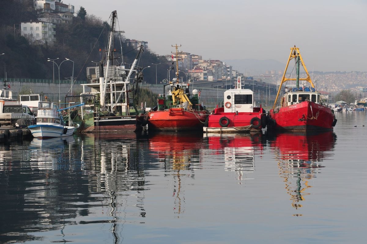 Karadeniz'de balıklar ilk defa tersine göç etti