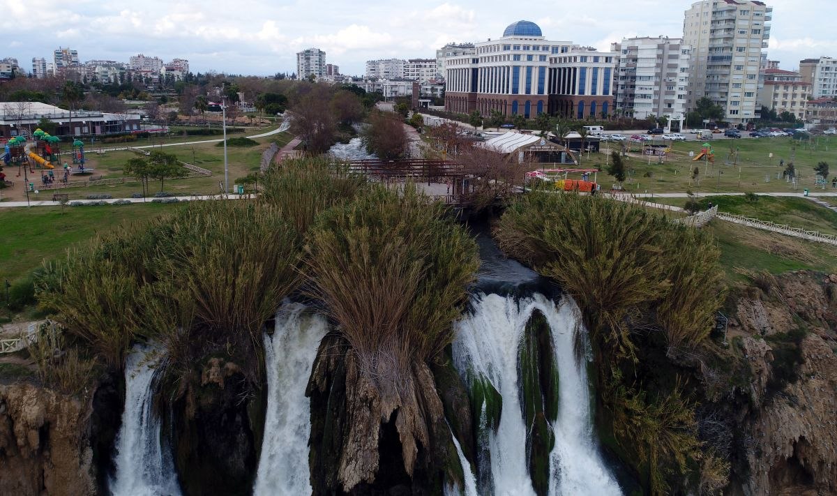 Düden Şelalesi'ndeki ölü balık yığınları, martılara yem oldu