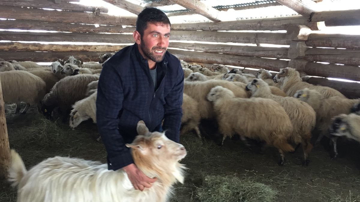 Artvin'de çobanı evlilik vaadiyle dolandıran kadın tutuklandı