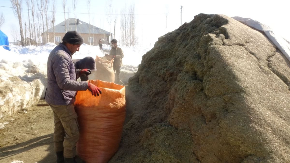 Hakkari'de besiciler, kış mevsiminde zorluk çekiyor