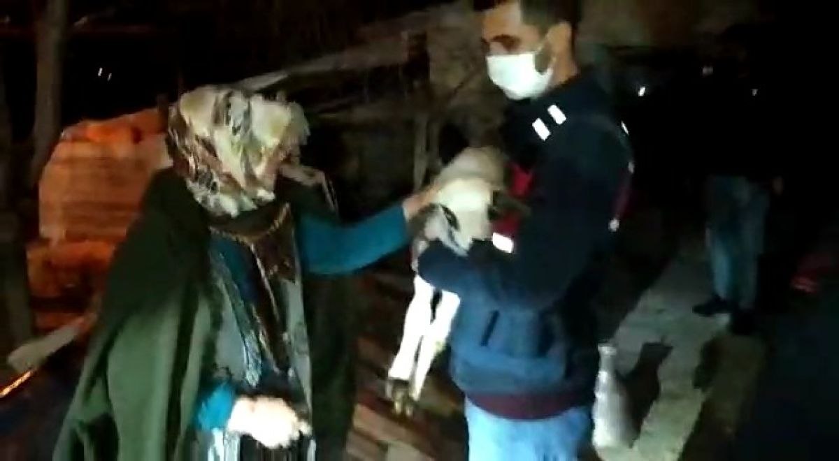 Konya'da çalınan, şehit oğlunun adını verdiği kuzusu bulundu