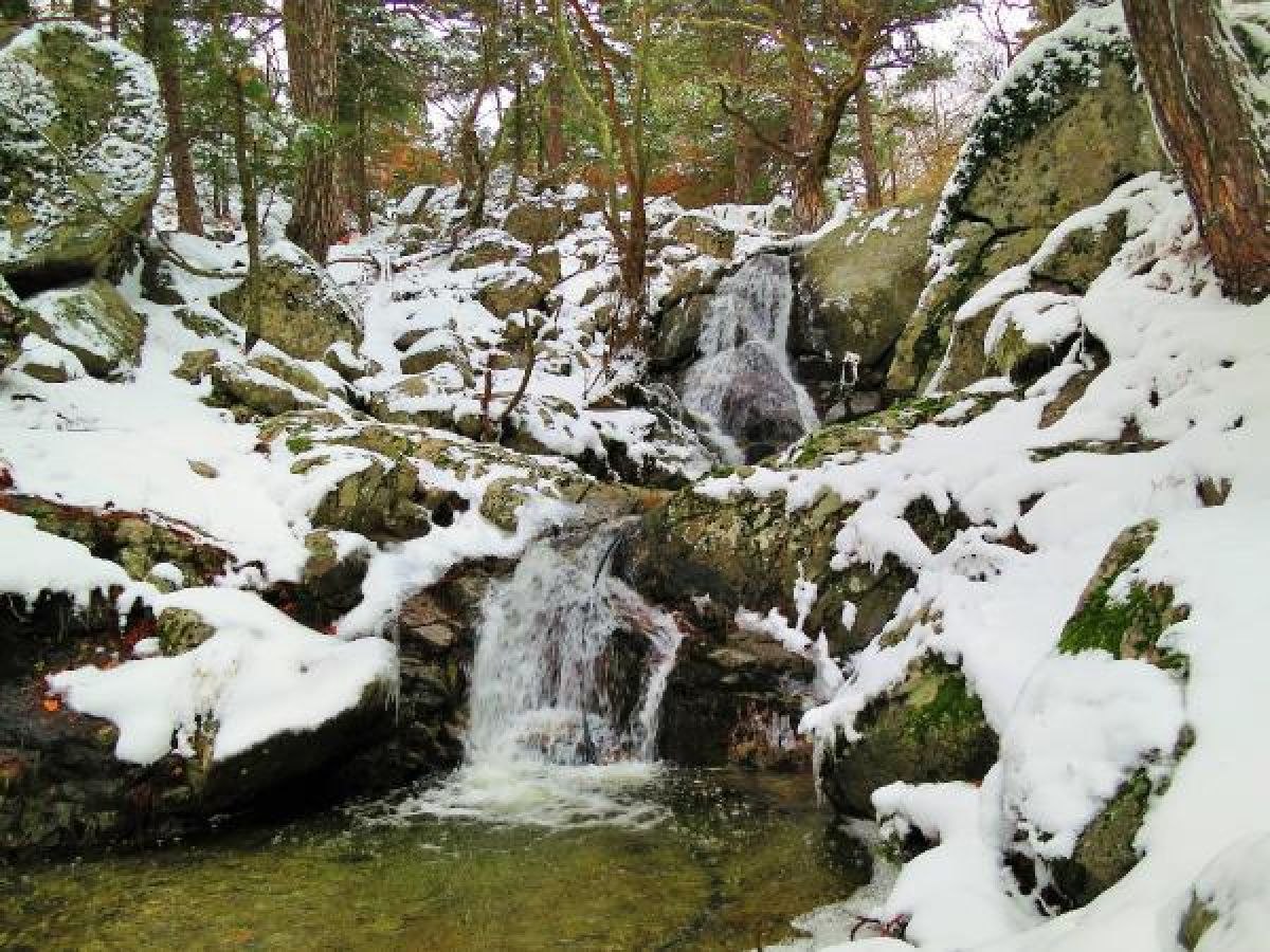 Balıkesir'deki Kaz Dağları'nda kış ile ilkbahar renkleri birleşti