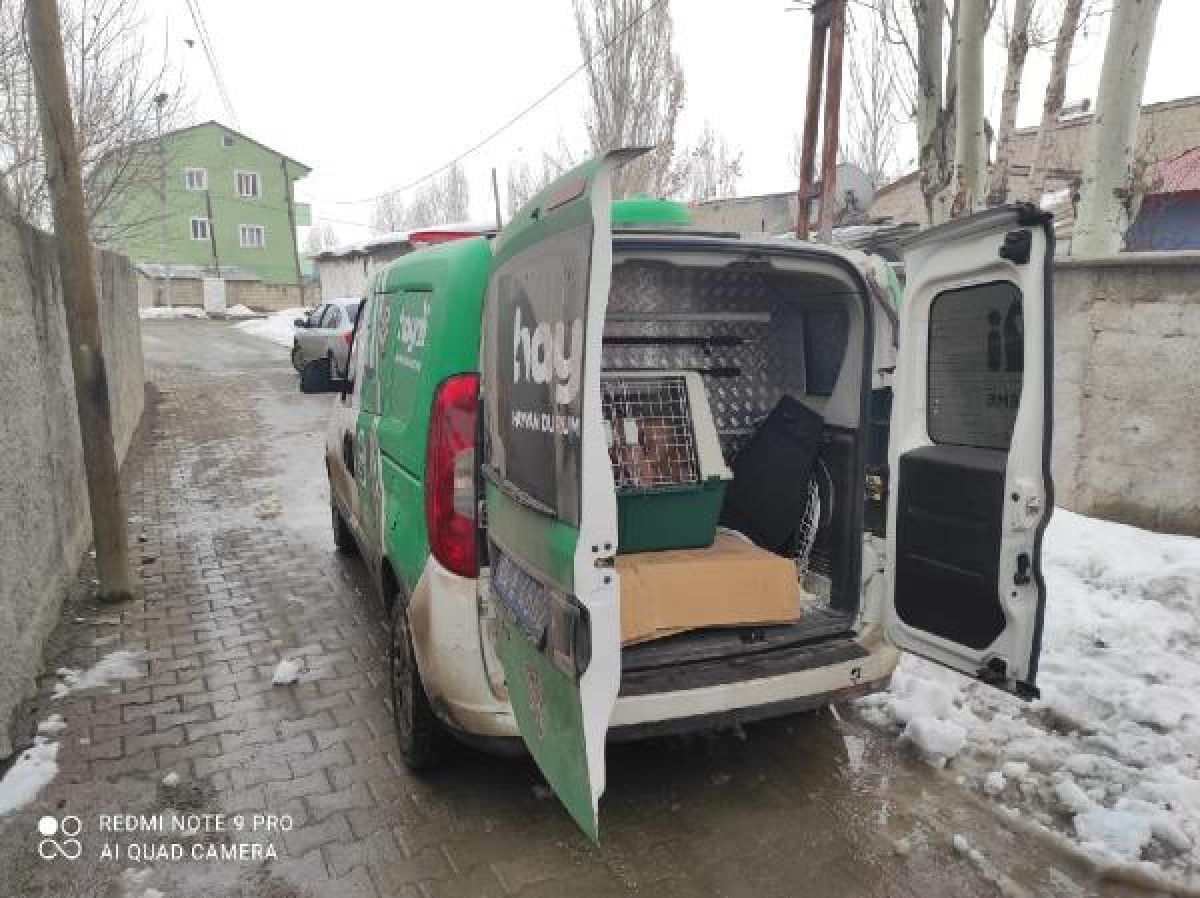Ağrı'da köpeğe eziyet eden kişiye 11 bin 500 lira ceza kesildi