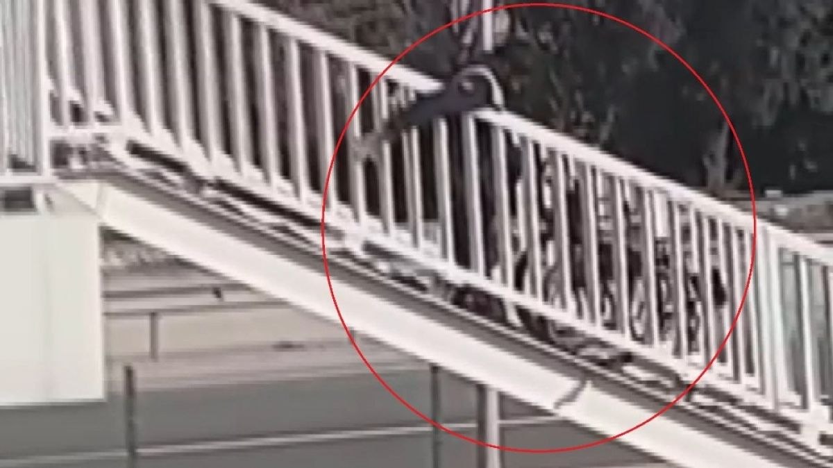 Yalova'da engelli vatandaşa üst geçit işkencesi