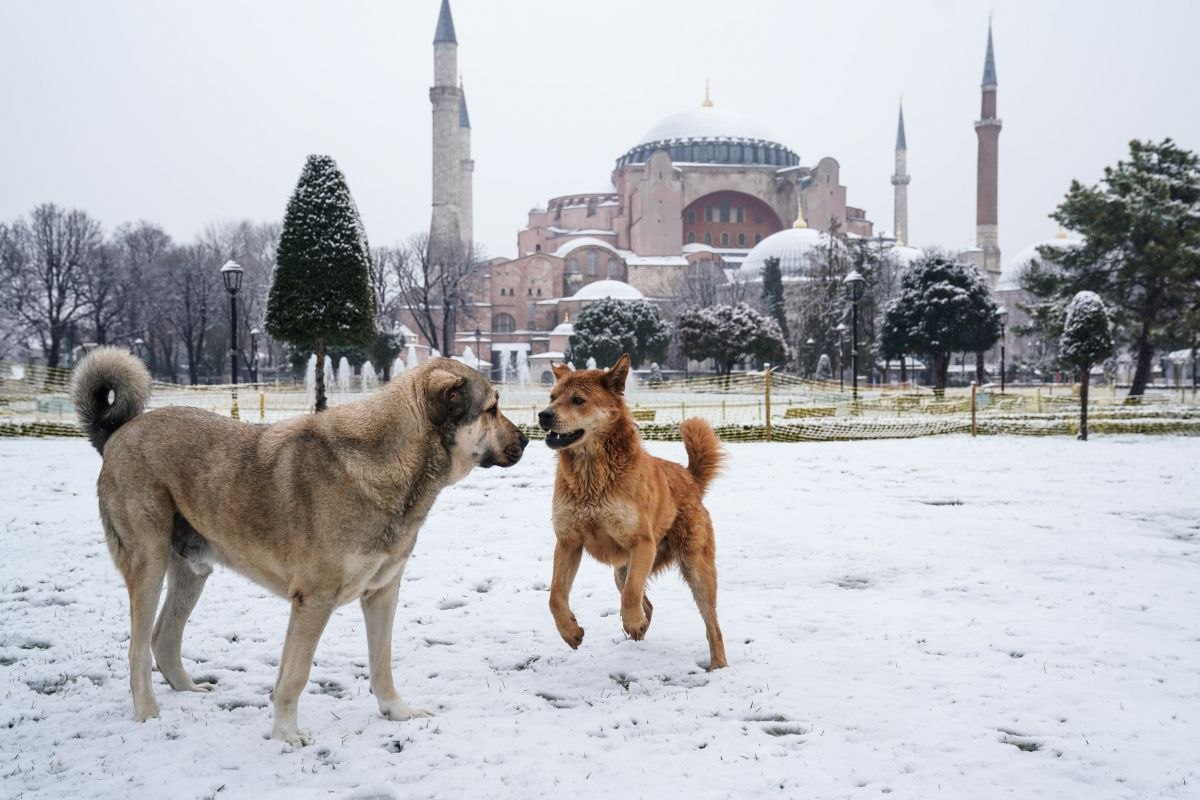 Sultanahmet Meydanı'nın karlı görüntüleri kartpostalı andırdı