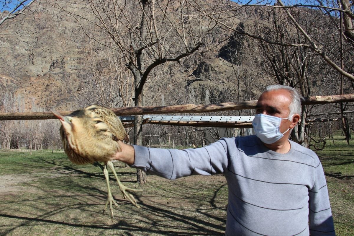 Erzurum'da bitkin bulduğu balabanı tedavi ettirdi