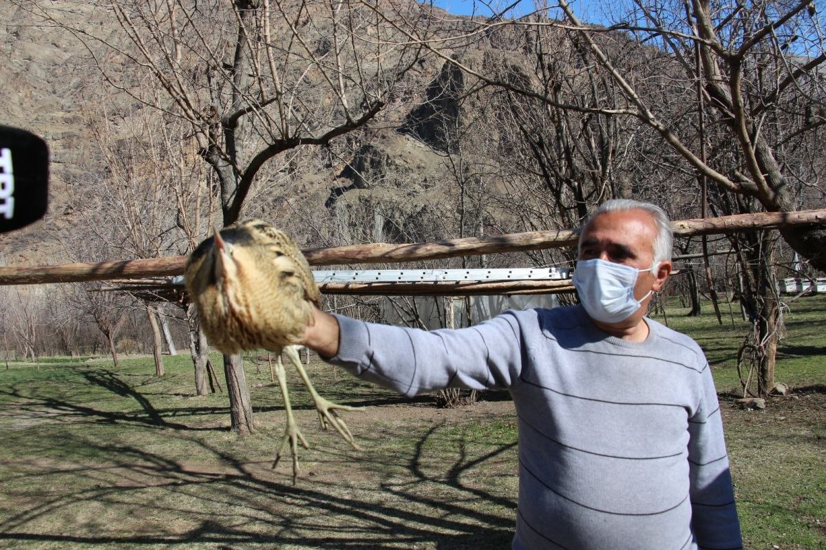 Erzurum'da bitkin bulduğu balabanı tedavi ettirdi