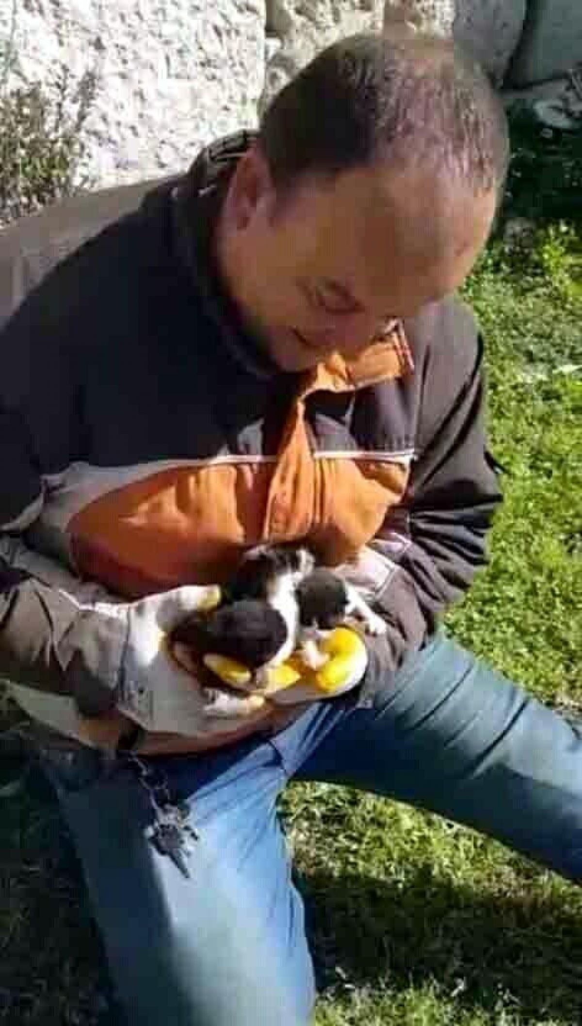İzmir'de poşetle çöpe atılan 4 yavru kedi kurtarıldı