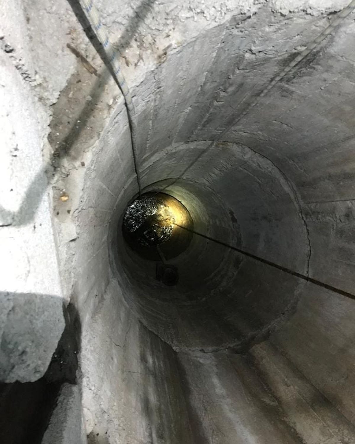 Mersin'de su kuyusuna düşen keçi, itfaiye tarafından kurtarıldı