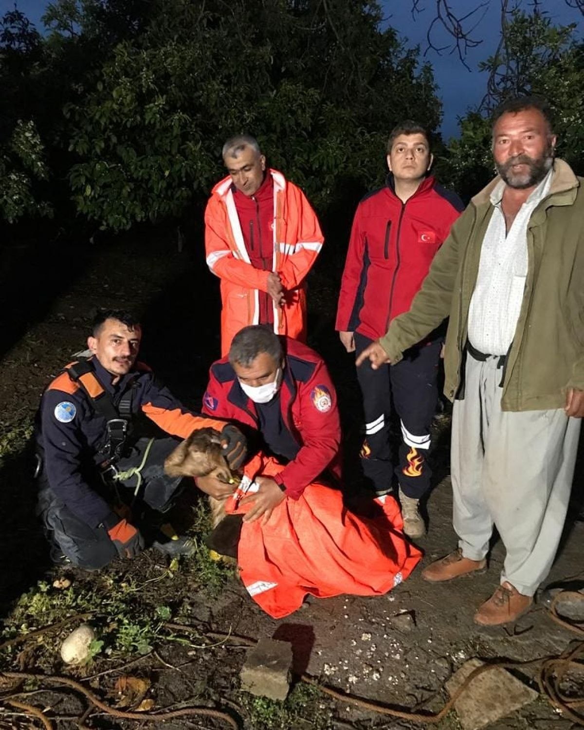 Mersin'de su kuyusuna düşen keçi, itfaiye tarafından kurtarıldı