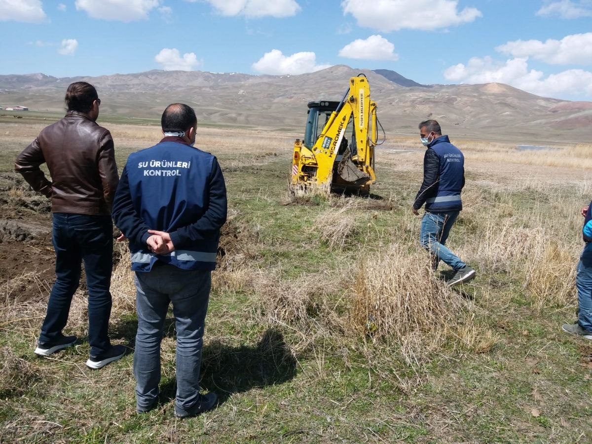 Van'da inci kefali göçü için kanallara boru döşendi