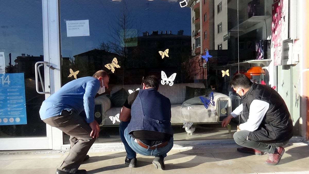 Van'daki mağazada mahsur kalan kedi kurtarıldı
