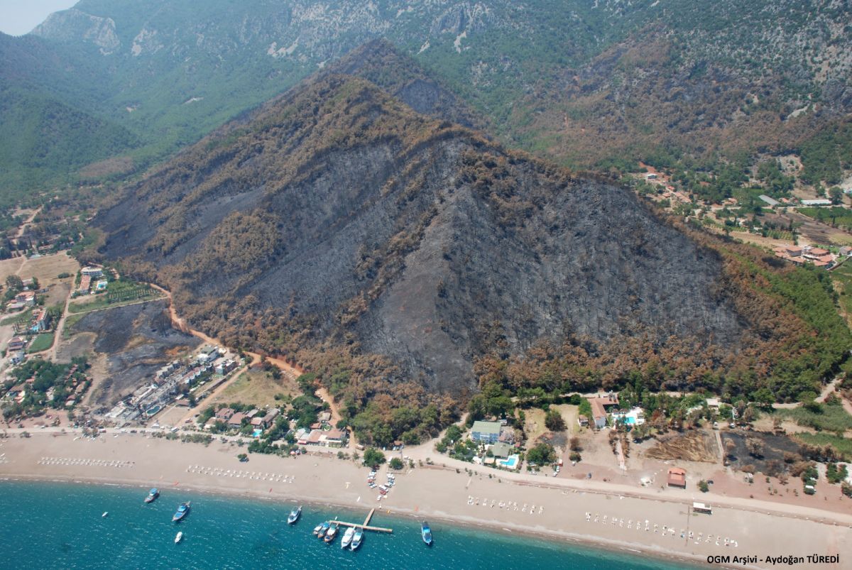 Antalya'da 2008'de yanan ormanlar tekrar yeşillendi