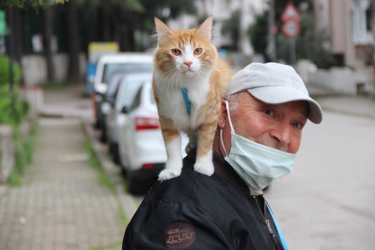 Kocaeli'de her yere omzunda kedisiyle gidiyor